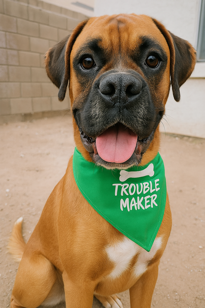 Parisian Pet 'Trouble Maker' Bandana for Dogs & Cats - Fun, Comfortable, Trendy Green Pet Fashion Accessory-Saint Patrick's Day